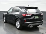 Used 2020 Ford Escape SE image 4