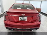 Used 2022 Cadillac CT5 Sport w/ Climate Package image 3