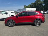 Used 2020 Ford Escape SEL image 2