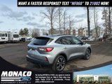 Certified 2022 Ford Escape SE w/ SE Sport Appearance Package image 4