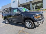 New 2025 Ford F150 XL w/ Equipment Group 103A High image 2