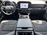 Certified 2023 Ford F150 XLT w/ Equipment Group 302A High image 2