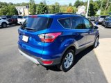 Used 2017 Ford Escape SE w/ SE Leather Comfort Package image 3