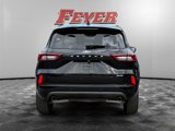 Used 2023 Ford Escape ST-Line Elite image 4
