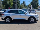 Used 2020 Ford Escape SE image 6