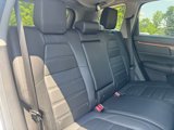 Used 2019 Honda CR-V EX-L image 5