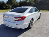 Used 2021 Honda Accord EX-L image 3