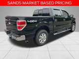 Used 2014 Ford F150 XLT w/ Equipment Group 302A Luxury image 3