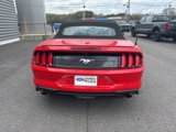 Used 2022 Ford Mustang Premium image 4
