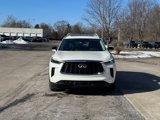 New 2025 INFINITI QX60 Luxe w/ Cargo Package image 6