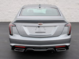 New 2025 Cadillac CT5 Sport w/ Sun And Sound Package image 4