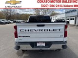 Used 2019 Chevrolet Silverado 1500 LT w/ All-Star Edition image 6