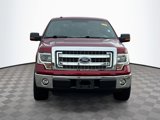 Used 2014 Ford F150 XLT w/ Equipment Group 302A Luxury image 2