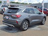 Used 2022 Ford Escape SEL image 6