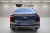 Used 2020 Cadillac CT4 Premium Luxury w/ Climate Package image 4