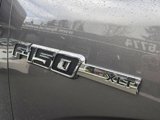 Used 2010 Ford F150 XLT image 5