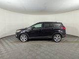 Used 2019 Ford Escape Titanium image 3