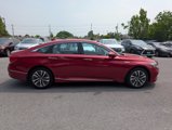 Used 2020 Honda Accord Touring image 3