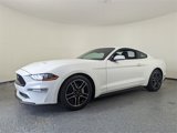 Used 2019 Ford Mustang Coupe w/ Equipment Group 101A image 4