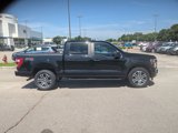 Certified 2023 Ford F150 XL w/ STX Appearance Package image 2