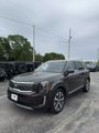 Used 2020 Kia Telluride EX w/ EX Premium Package image 3