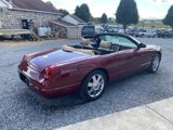 Used 2004 Ford Thunderbird Deluxe image 6
