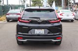Used 2020 Honda CR-V EX image 6