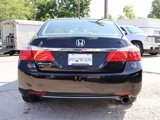 Used 2014 Honda Accord EX-L image 6