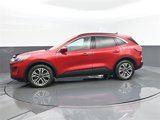 Used 2021 Ford Escape SEL w/ Technology Package image 5