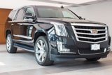 Used 2019 Cadillac Escalade Luxury image 5