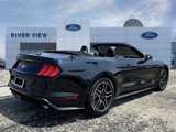 Used 2023 Ford Mustang Premium image 5