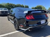 Certified 2019 Ford Mustang Coupe image 4