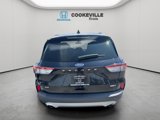 Used 2020 Ford Escape SE image 2