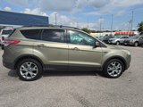 Used 2013 Ford Escape SEL image 6