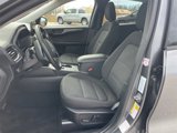 Used 2023 Ford Escape Active image 4