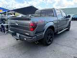 Used 2014 Ford F150 FX2 w/ Equipment Group 402A Luxury image 5