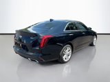 Used 2022 Cadillac CT4 Luxury w/ Sun And Sound Package image 5