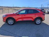 Certified 2024 Ford Escape Active image 3