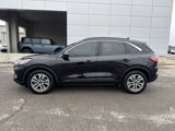 Used 2022 Ford Escape SEL image 2