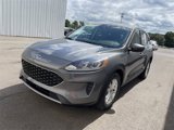 Used 2021 Ford Escape SE w/ Convenience Package image 4