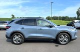 New 2025 Ford Escape ST-Line Elite image 2