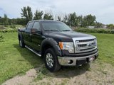 Used 2013 Ford F150 XLT w/ Luxury Equipment Group image 3