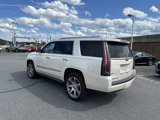Used 2015 Cadillac Escalade Premium image 3