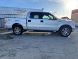 Used 2014 Ford F150 STX w/ Equipment Group 201A Mid image 4
