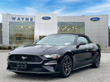Used 2023 Ford Mustang Premium image 2