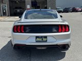 Used 2019 Ford Mustang Premium w/ Equipment Group 201A image 3