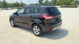 Used 2013 Ford Escape SE image 6