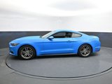 Used 2017 Ford Mustang Premium image 4