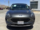 Used 2020 Ford Escape SE image 3