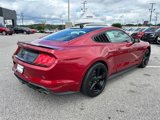 Certified 2021 Ford Mustang GT Premium w/ Black Accent Package image 4